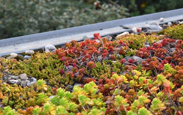 the cost of Threapland green roof installation